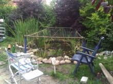 WP_000837.jpg
