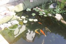 130811 - 6 Ab in den Urlaub.jpg