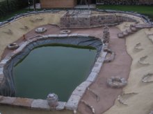 IMG_5261.JPG