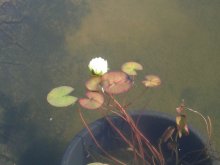 DSCN3297.jpg