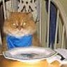 Tabsy