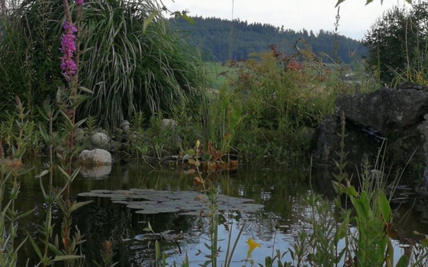 www.hobby-gartenteich.de