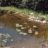 saltun