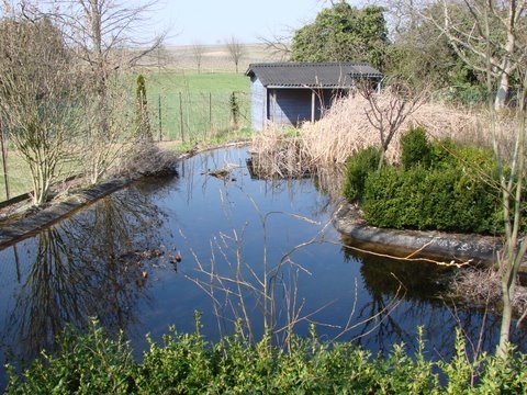 1_Teich6.JPG