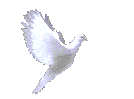 animaatjes-duiven-45477.gif