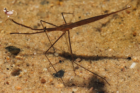 d9126_540_360.jpg