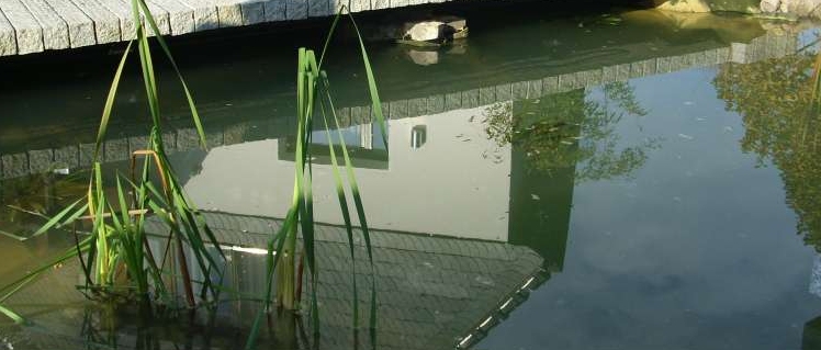 teich.jpg