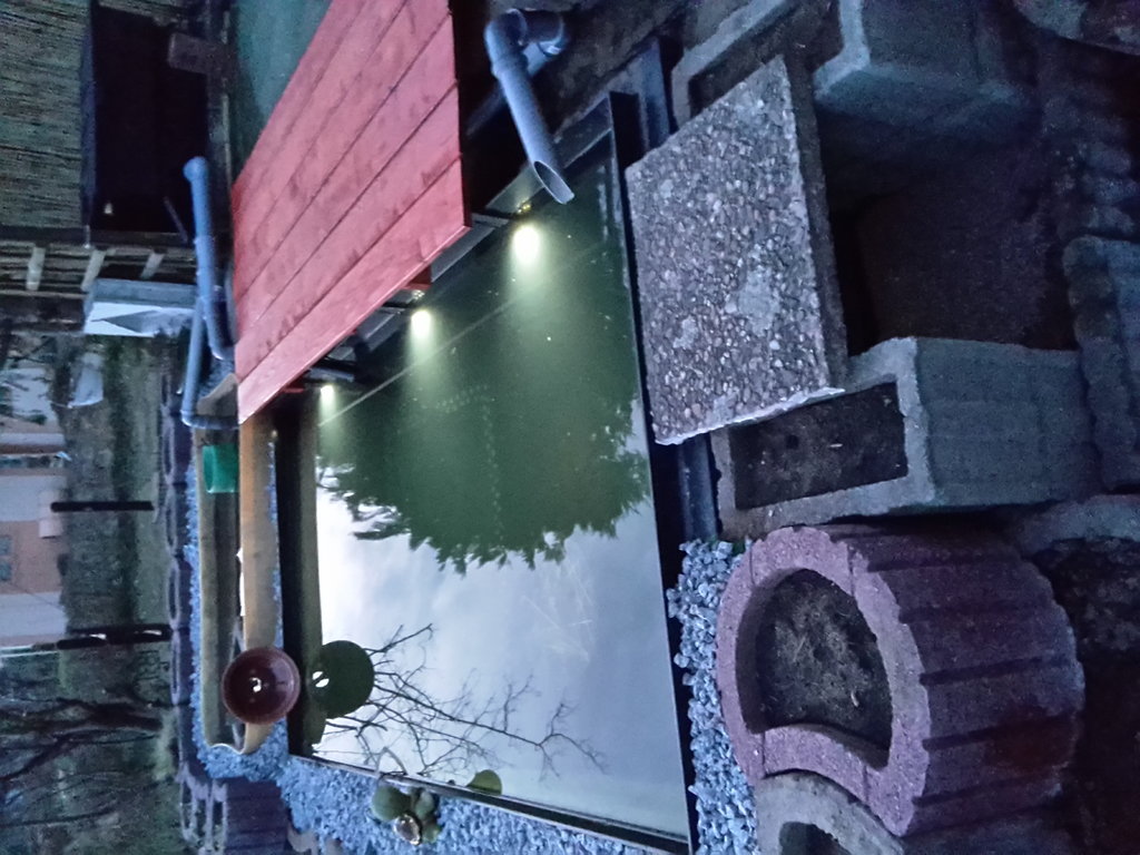 21465209lx.jpg