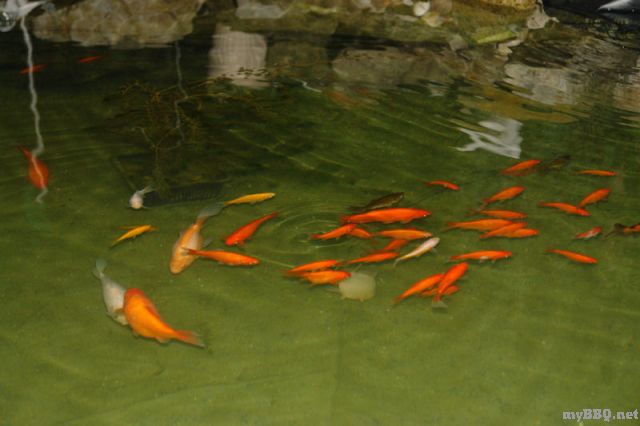 239_Biotop2_3.jpg