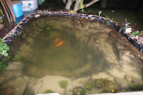 Teich_01.jpg