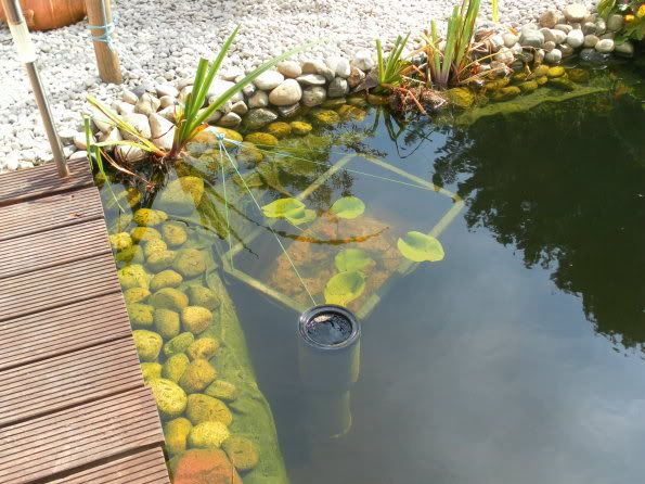 Teich5.jpg