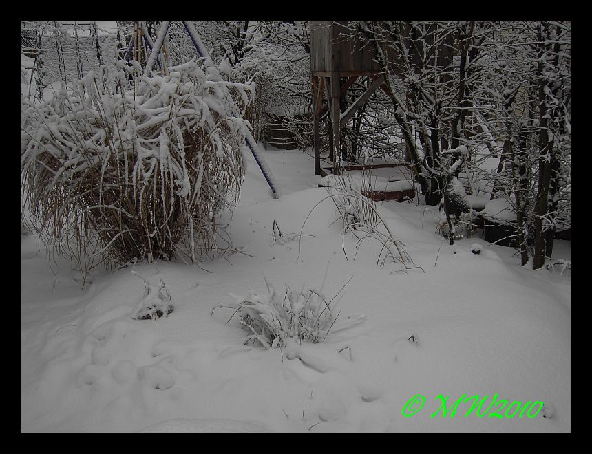 Winter20103.jpg