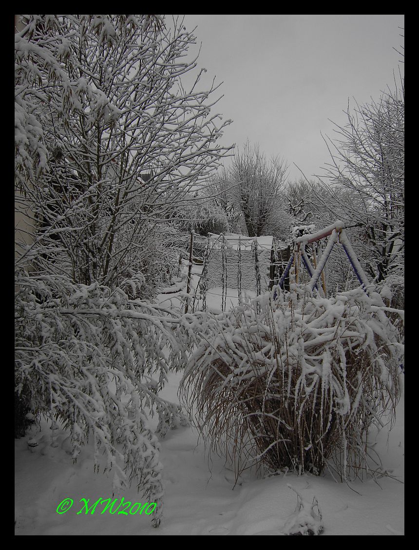 Winter20104.jpg
