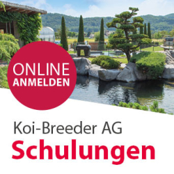 www.koi-breeder.ch